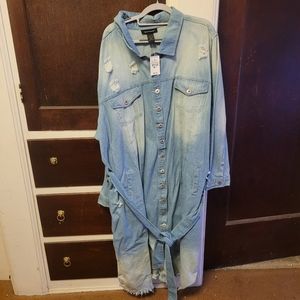 Distressed plus size Denim denim dress